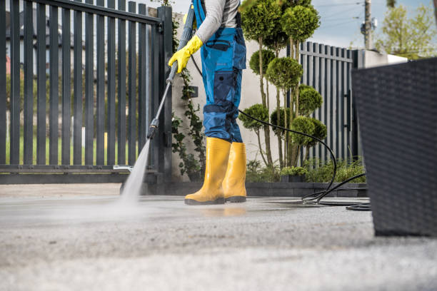 Best Roof Pressure Washing  in South River, NM