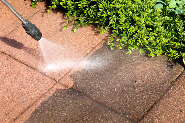 Best Local Pressure Washing Services  in South River, NM