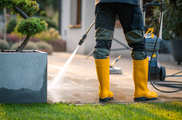 Best House Pressure Washing  in South River, NM